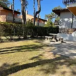 Vila Pinea *
