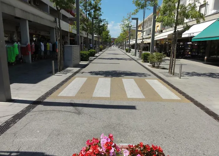 Pinea * ビビオーネ