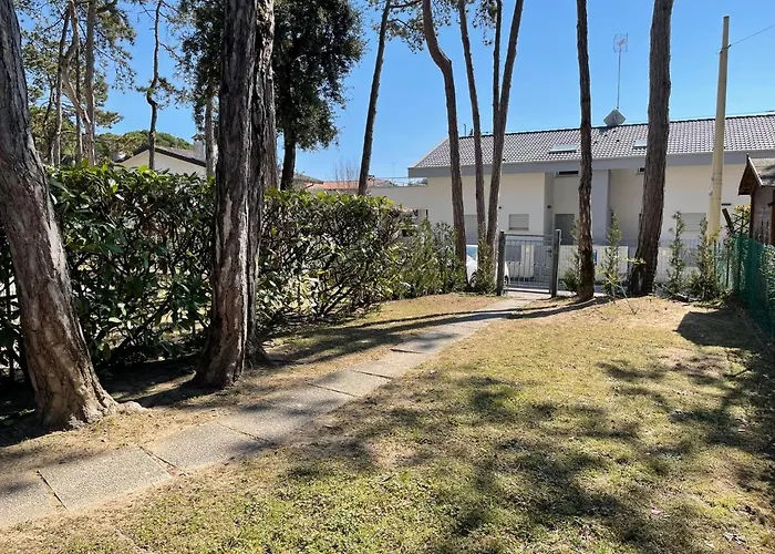 Pinea بيبيوني